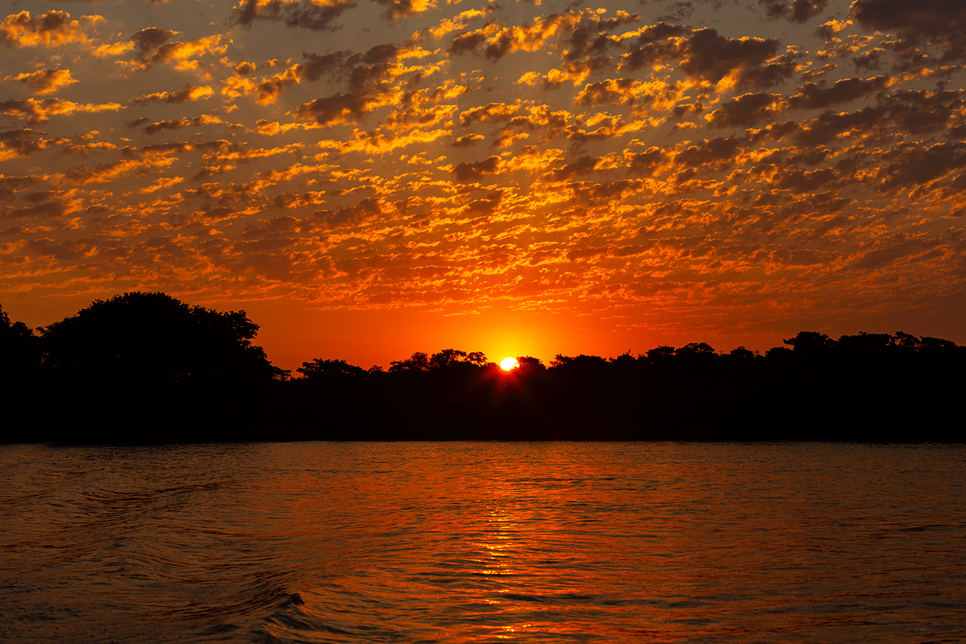 Pantanal